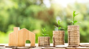 An image of three plants growing with piles of coins in ascending order